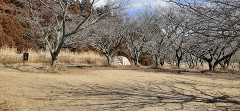 249-230(38-35)RECAMP志高湖210_144114