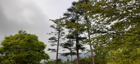 156-141(55-55)鹿川キャンプ場506_072952
