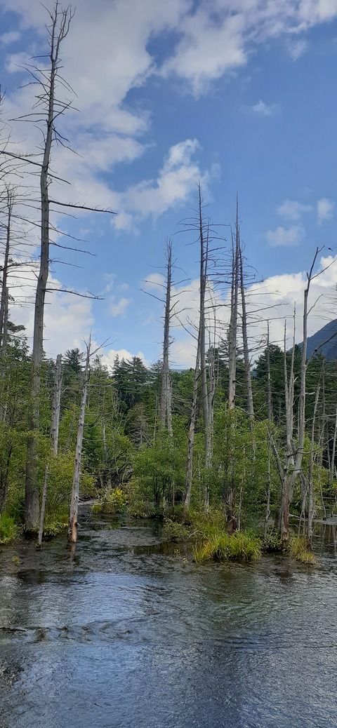 271-251(8-7) 上高地穂高岳813_140413