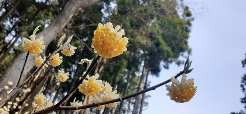 254-235(43-40)長崎鼻リゾート②330_113256