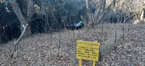 251-232(40-37)大坂山障子ヶ岳218_083212