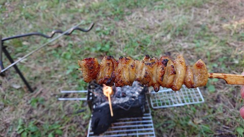 19-16お牧山公園キャンプ場608