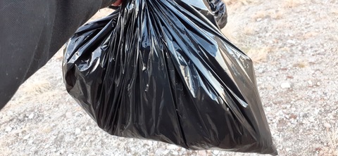 251-232(40-37)伽藍岳ゲリラキャン302_175635