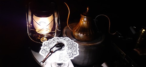 194-178(36-35)ゴンドーシャロレー⑨211_234046