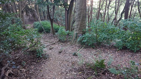 120-105(19-19)小文字山テン泊561S