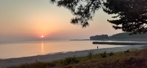 161-146(3-3)来浦キャンプ場612_051454