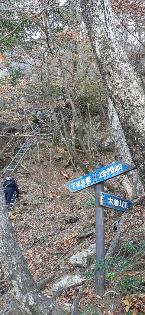 236-219(25-24)大崩山1104_092455