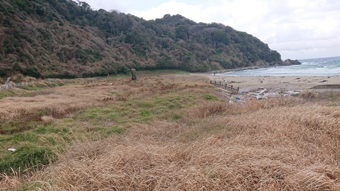 89-75(44-39)二位ノ浜キャンプ場41