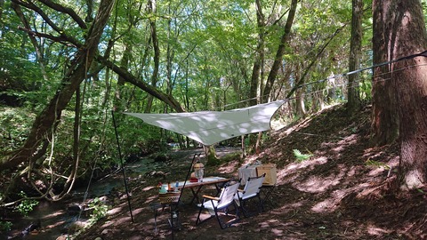 114-99(13-13)9.BASE 494