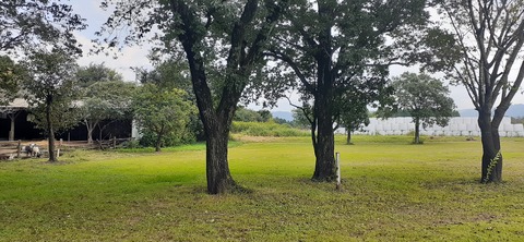 229-212(18-17)竹原牧場916_124553