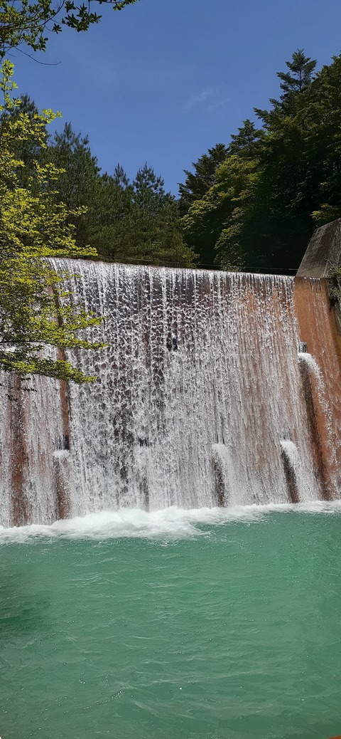 209-193(51-50)えびの高原キャンプ村503_120328