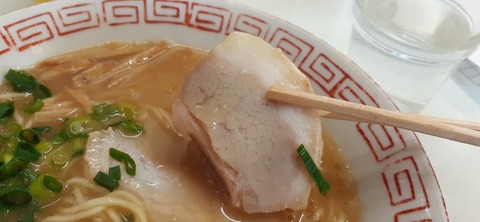 198-182(40-39)キワラビーチ ドルフィン225_125041