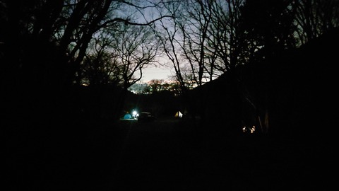 88-74(43-38)昭和の森一本松サイト897