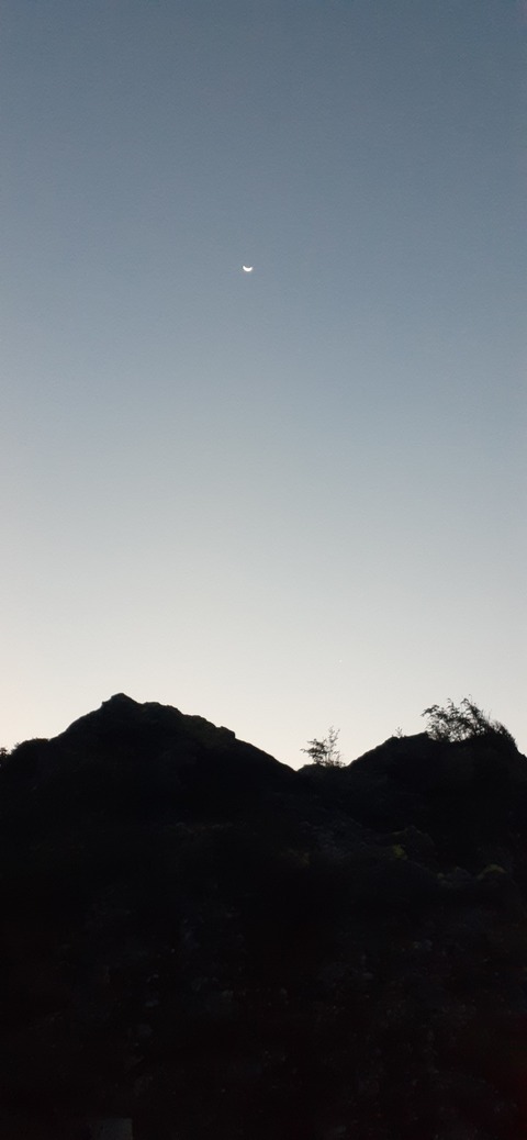 228-211(17-16)登山くじゅう連山910_054155