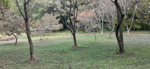 182-166(24-23)長湯きらりキャンプ場1105_133104