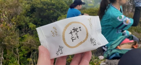 257-238(46-43)開聞岳428_092155