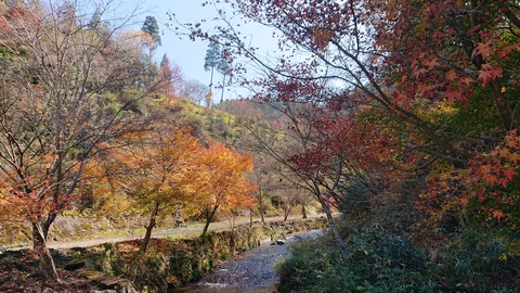 71-58(26-22)遊水峡キャンプ場458S