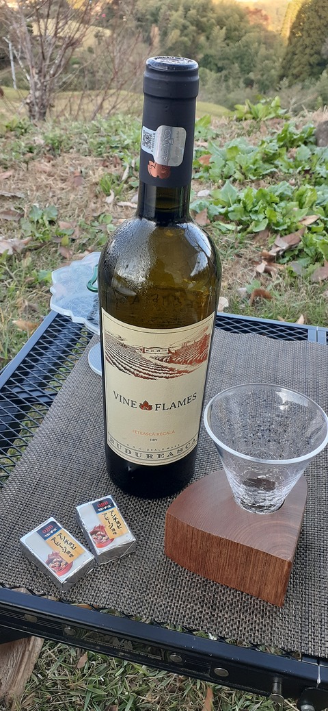 181-165(23-22)仲山城跡キャンプ場1104_155548