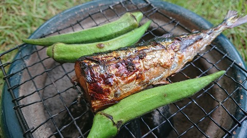 50-40菊川自然活用村4回目469S