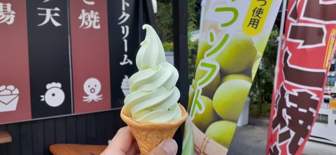 175-160(17-17)リベラルカマブタ1002_144742