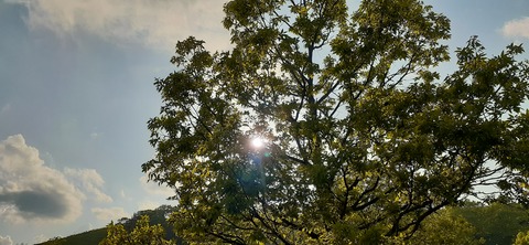 159-144(1-1)遊牧民521_173030