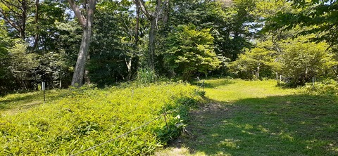 164-149(6-6)長野山緑地公園702_112259