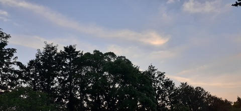 205-189(47-46)ラピュタファーム422_184844