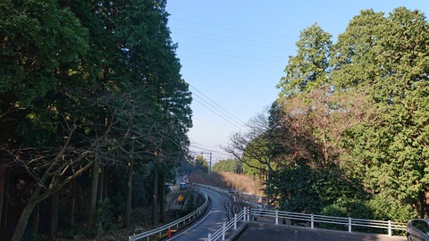 29-22昭和の森猫石サイト1088S