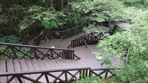 118-103(17-17)グランピングKAWASAKI２46S