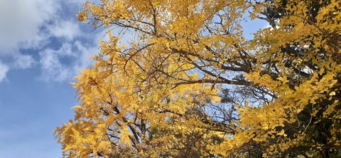 237-220(26-25)るるパーク1111_114549