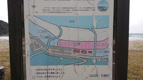 89-75(44-39)二位ノ浜キャンプ場49
