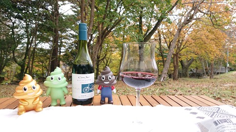 124-109(23-23)英彦山野営場152