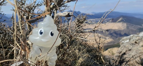 251-232(40-37)伽藍岳ゲリラキャン303_103038