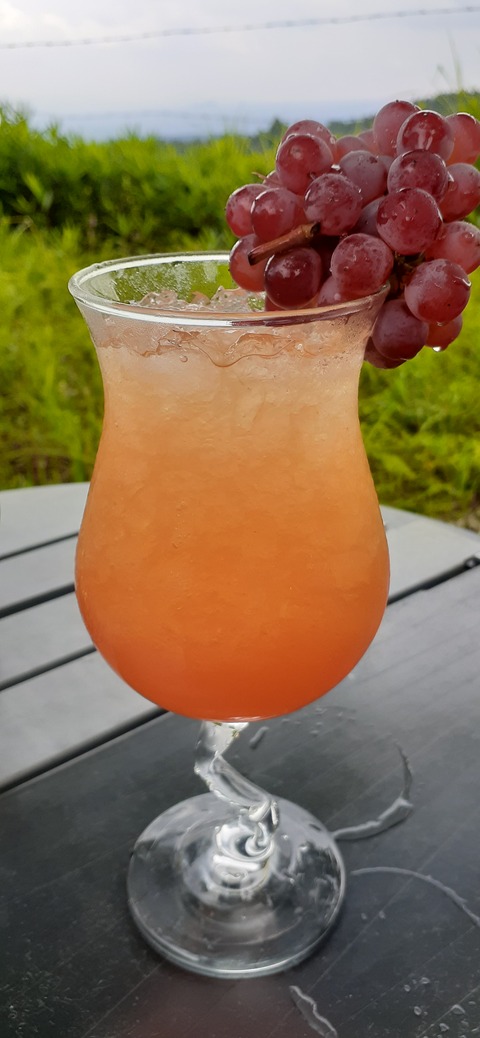 167-152(9-9)久住星群れキャンプ場723_140835