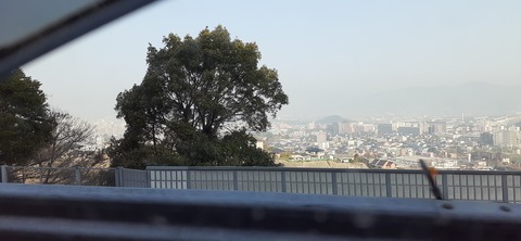 199-183(41-40)山中キャンプ場311_084035