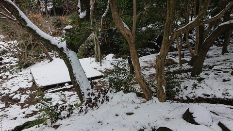 81-67(36-31)深坂自然の森284