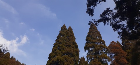 199-183(41-40)山中キャンプ場311_123328