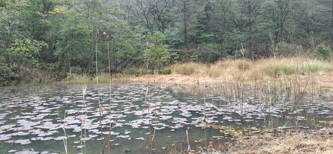 148-133(47-47)霜降山キャンプ場26_150113