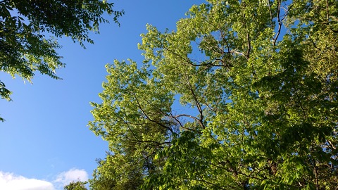 100-85(55-49)鹿川キャンプ場7089