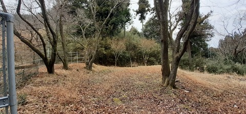 138-123(37-37)sleepy cafe nico22_125723