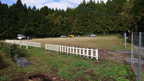 125-110(24-24)キャンプ&農園玖珠の杜217R