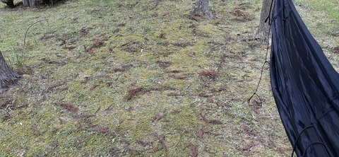 211-195(53-52)猿ヶ城キャンプ場506_092240