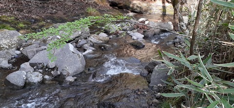 153-138(52-52)マゼノ 甲の瀬キャンプ村430_162742