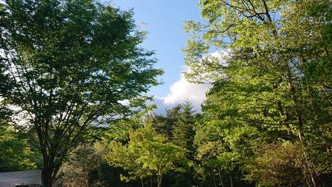 100-85(55-49)鹿川キャンプ場7091