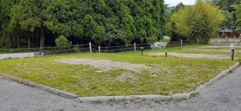 216-200(5-5)山鳥の森623_132012