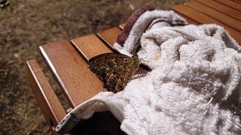 56-45(11-9)久住山荘南登山口C131S