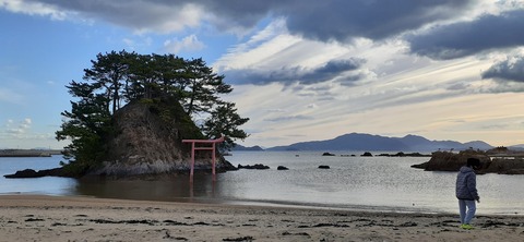 189-173(31-30)大島加代海岸103_100421R