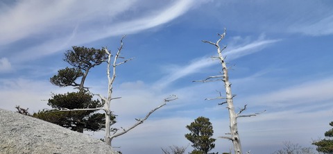 236-219(25-24)大崩山1104_131630