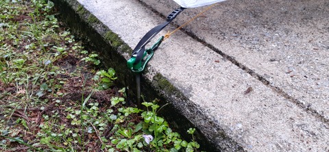 151-136(50-50)423湯の浦総合キャンプ場_172713