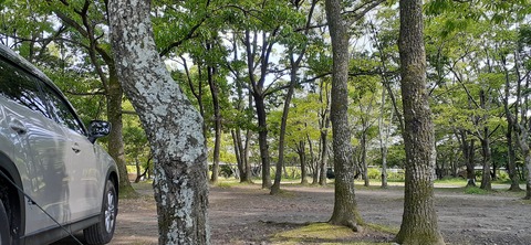 207-191(49-48)津志田河川公園乙女河原501_150707